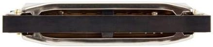 Hohner Special 20 Harmonica - Key of G Bundle with Case, Pouch, Online Manual, and Austin Bazaar Polishing Cloth