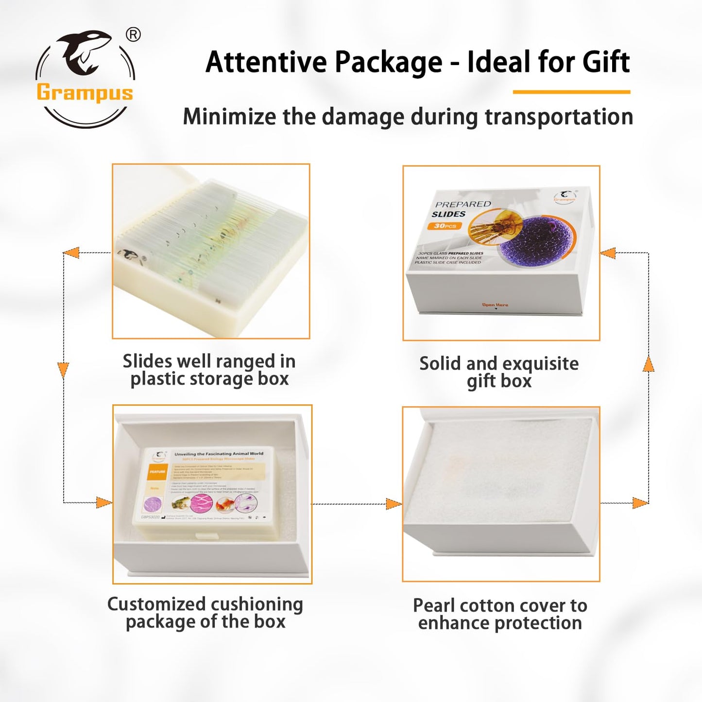 30 Prepared Microscope Slides with Specimens for Kids Students - Plants, for Biological Science Lab, Children's Science Education, Homeschooling Use