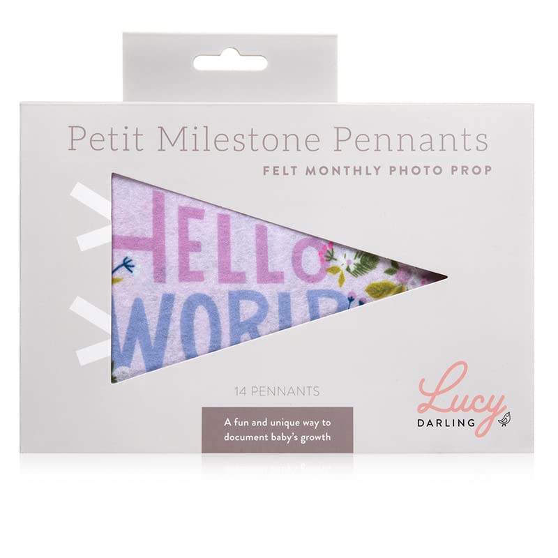 Lucy Darling Petit Milestone Pennants – Baby Monthly Milestone Pennant Flags – Newborn Photo Props & Felt Nursery Decor – Keepsake Banner Set for Baby Photos – Little Artist