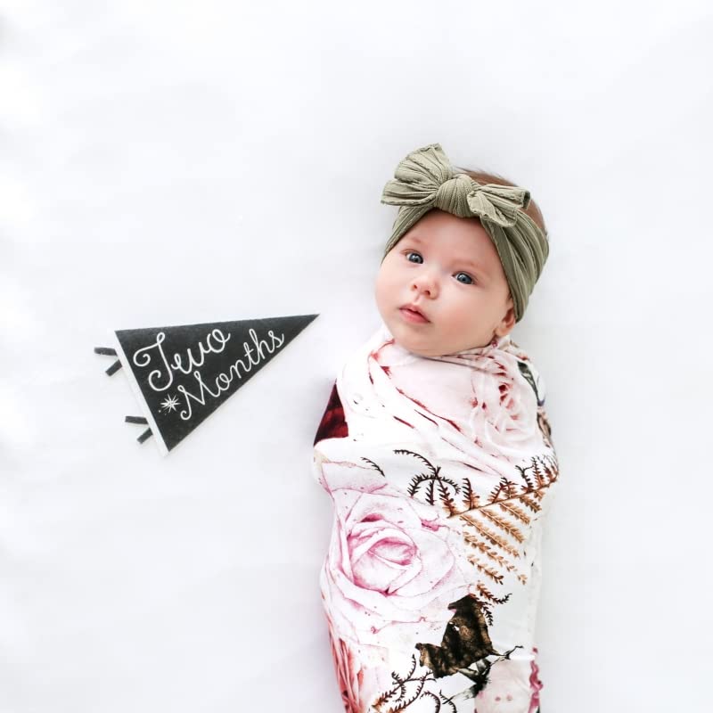 Lucy Darling Petit Milestone Pennants – Baby Monthly Milestone Pennant Flags – Newborn Photo Props & Felt Nursery Decor – Keepsake Banner Set for Baby Photos – Little Stargazer