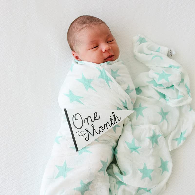 Lucy Darling Petit Milestone Pennants – Baby Monthly Milestone Pennant Flags – Newborn Photo Props & Felt Nursery Decor – Keepsake Banner Set for Baby Photos – Little Stargazer