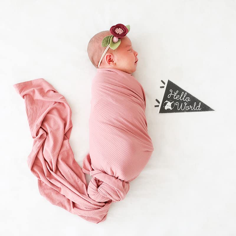 Lucy Darling Petit Milestone Pennants – Baby Monthly Milestone Pennant Flags – Newborn Photo Props & Felt Nursery Decor – Keepsake Banner Set for Baby Photos – Little Stargazer