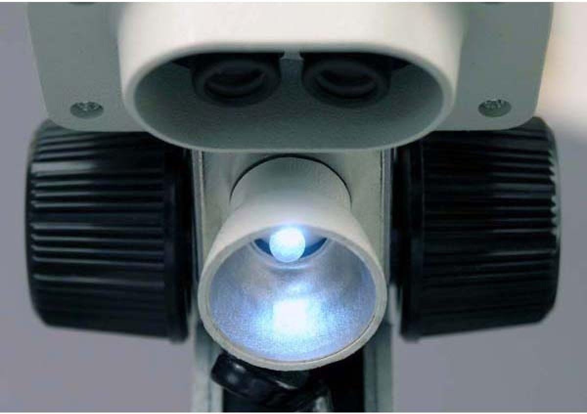AmScope Kids SE100 Portable Binocular Stereo Microscope, WF10x Eyepieces, 20X Magnification, Tungsten Light Source, Reversible Black/White Stage Plate, Battery-Powered