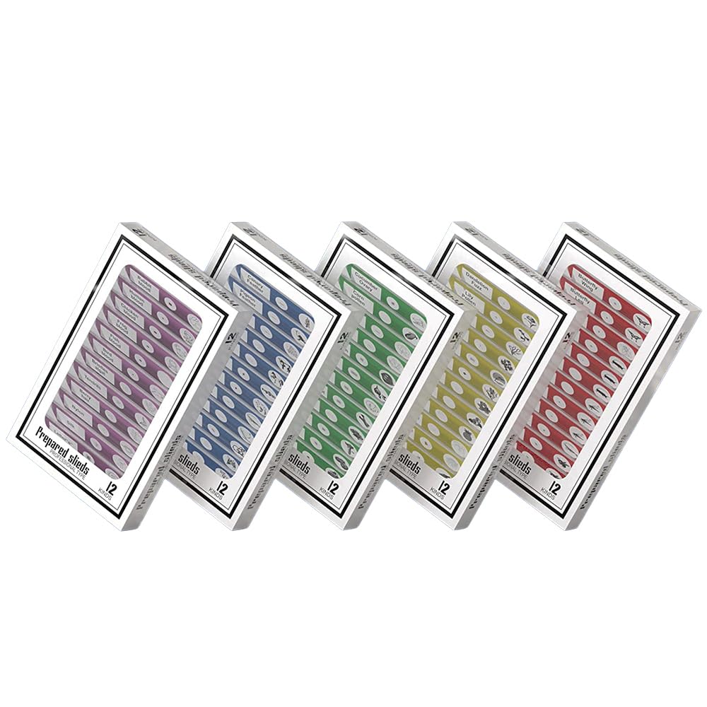60Pcs Prepared Microscope Slides Specimen Animals Insects Plants Flowers Sample Biological Specimen, Stereo Microscope Slide for Kids Children Students Enlighten Education