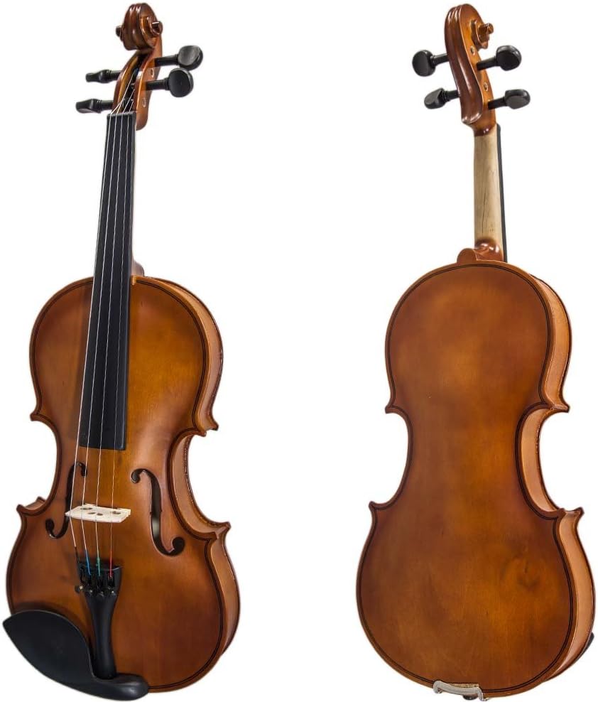 Paititi Artist-100 Student Violin Starter Kit with Brazilwood Bow Lightweight Case, Extra Strings, Rosin and Fingerchart (3/4)