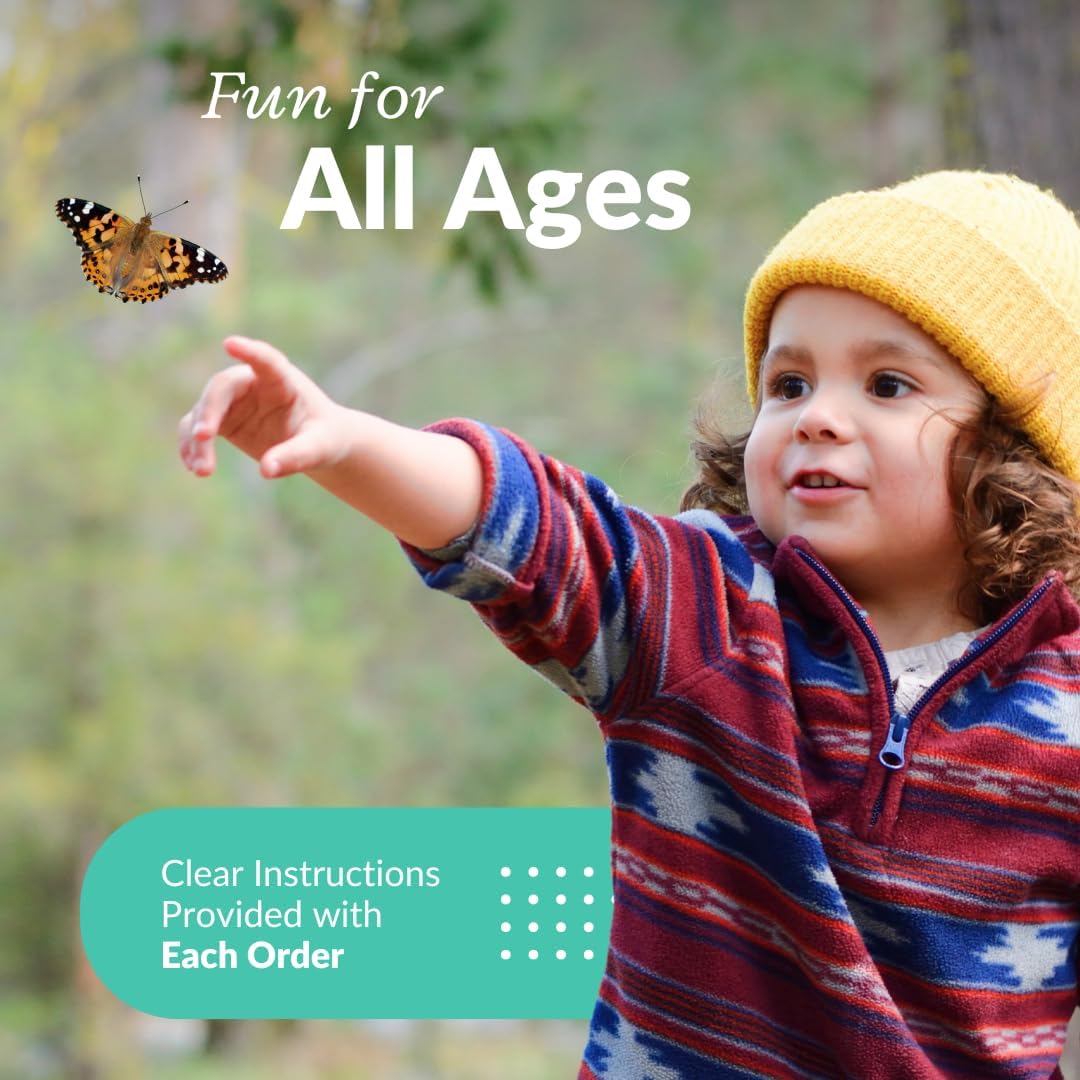 Clearwater Butterfly Live Painted Lady Butterflies - 10 Live Caterpillars - Live Caterpillars to Butterflies - Caterpillars for Butterfly Kit - Mesh Cage Not Included - Live Butterfly Kit - 10 Count