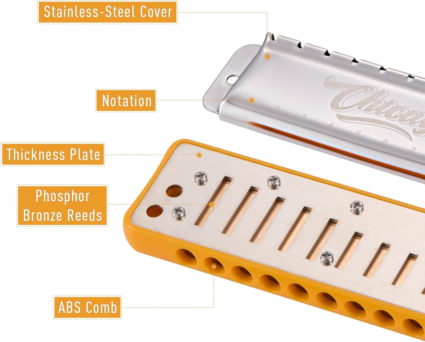 Harmonica JDR Blues key of D 10 Holes 20 Tones Harps Armonica for Adults Kids Professional Beginners Mini Mouth Organ with Case Chicago