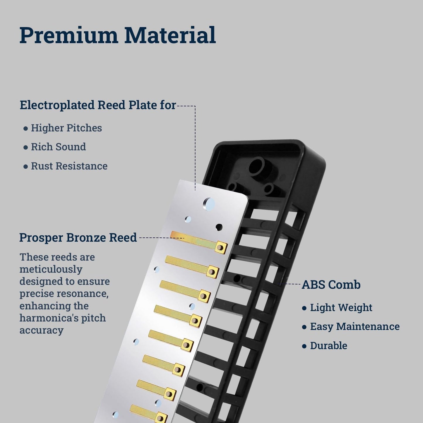 Harmo Polar Diatonic Harmonica Key of A - 10 Holes 20 Notes, Blues Harp Mouth Organ With Case, Phosphor Bronze Reeds, Suitable for All Genres, Harmonica for, Adult, Beginners & Professionals
