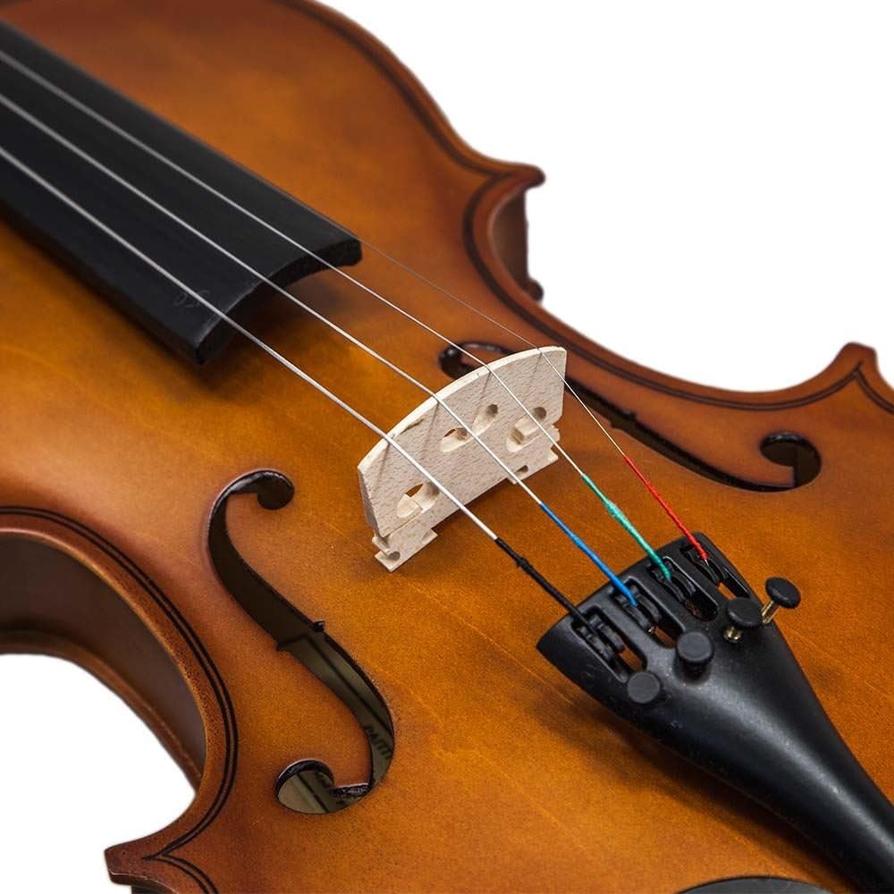 Paititi 4/4 Full Size Artist-100 Student Violin Starter Kit with Brazilwood Bow Lightweight Case, Shoulder Rest, Extra Strings and Rosin
