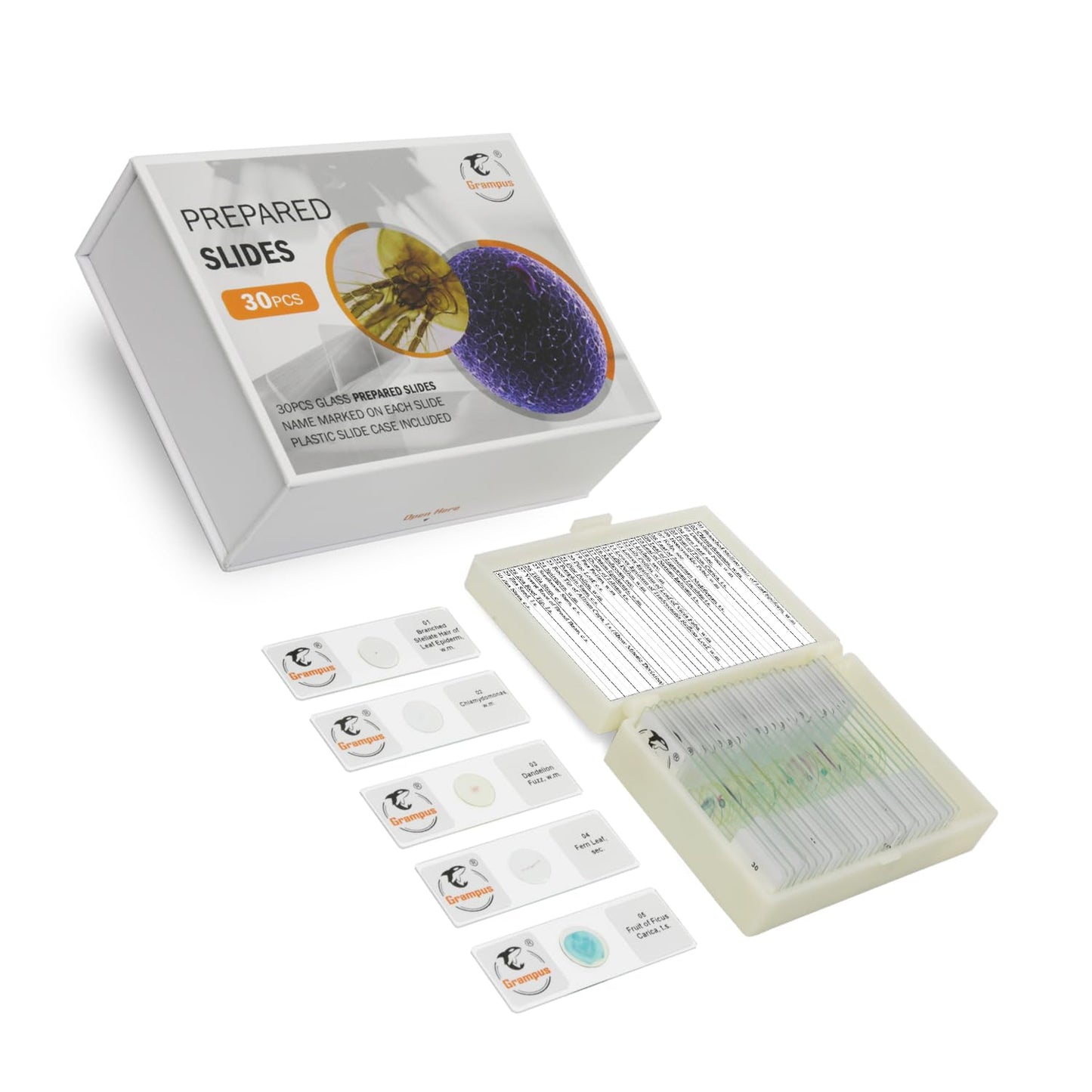 30 Prepared Microscope Slides with Specimens for Kids Students - Plants, for Biological Science Lab, Children's Science Education, Homeschooling Use