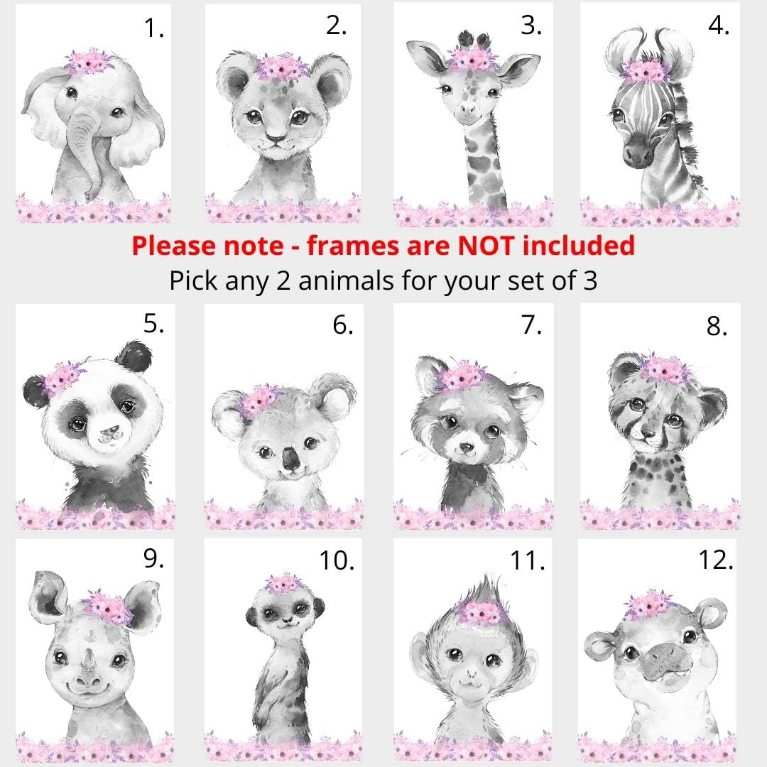 Safari Animals Girls Nursery Bedroom Unframed Set of 3 Poster Prints, Personalized Name Pink or Purple Flowers Wall Art Decor New Baby Gift Present, Elephant Giraffe Panda Zebra Lion (12x16)