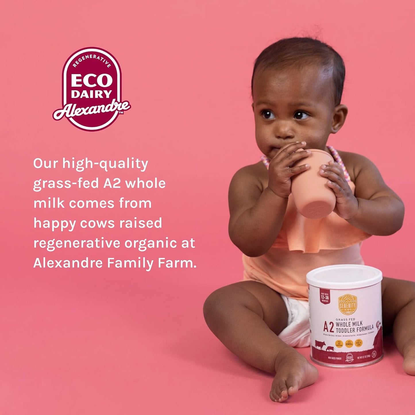 Serenity Kids 12+ Months A2 Whole Milk Toddler Formula Powder - Organic Grass-Fed Toddler Formula with HMO Prebiotics, DHA & ARA - Clean Label Project Purity Award Certified - 12.7 Oz, 1 Pack