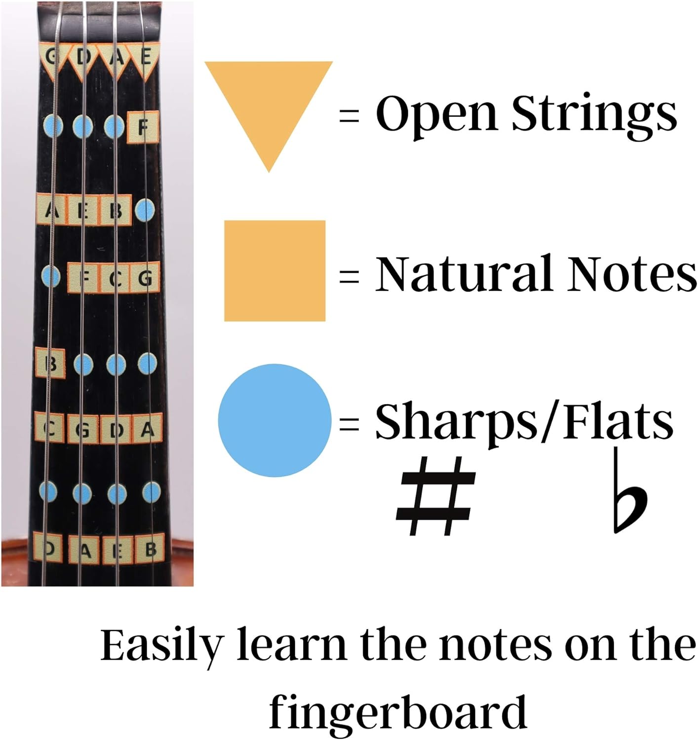 Fantastic Finger Guide for Violins Kids/Adult Beginner | Stringed Musical Instruments | Fingerboard and Fretboard Stickers for Learning All Notes | Play or Fiddle (1/2)
