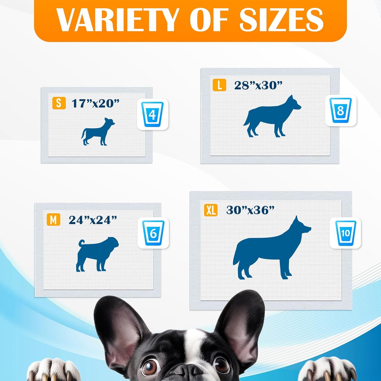 Paws & Claws Premium Disposable Dog Pee Pads, Large 28"x30", 40-Count – 6-Layer Leak-Proof, (Holds 8 Cups), Super Absorbent & Odor Control for Large Dogs, Seniors & Multi-Pet Homes