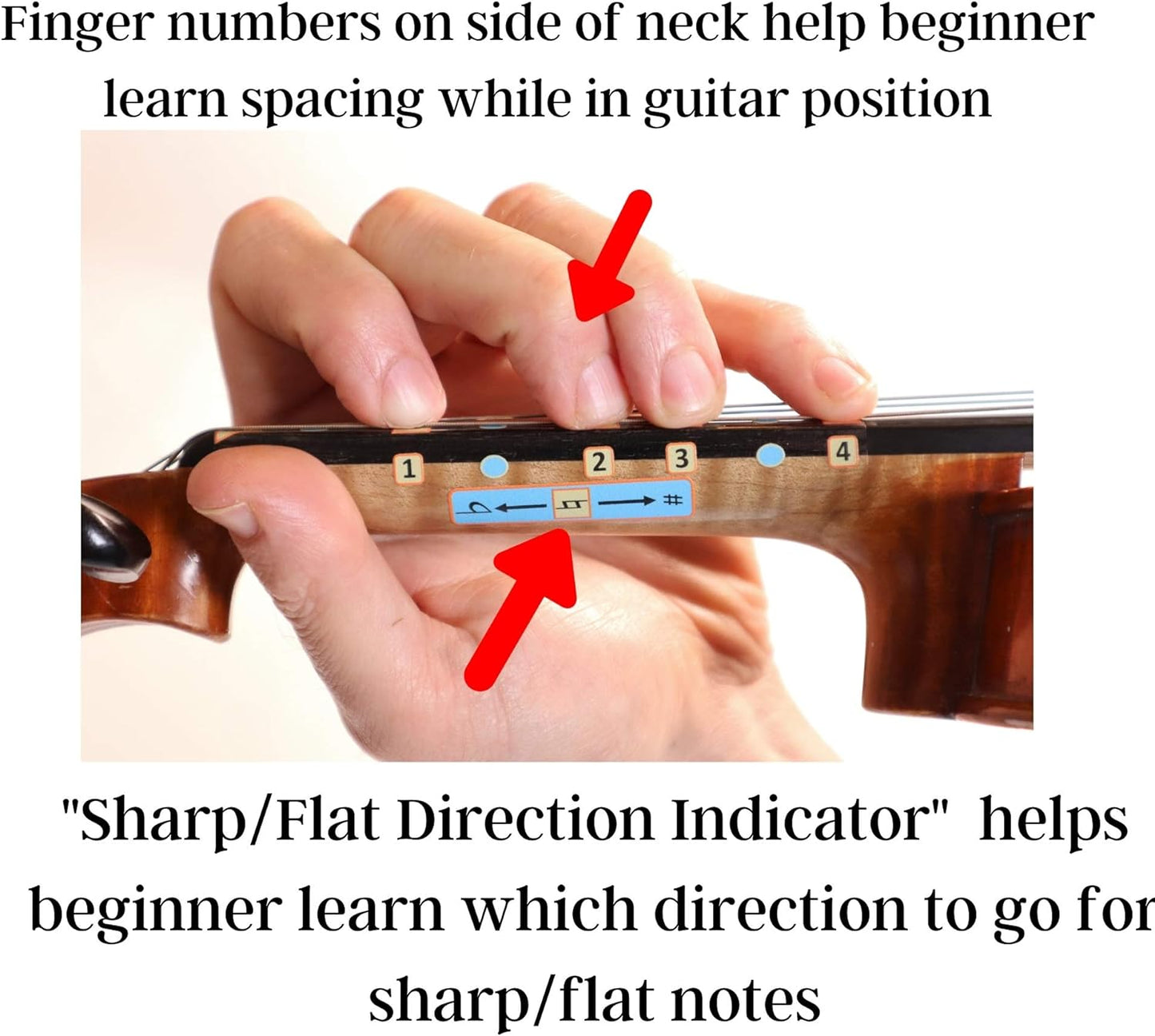 Fantastic Finger Guide for Violins Kids/Adult Beginner | Stringed Musical Instruments | Fingerboard and Fretboard Stickers for Learning All Notes | Play or Fiddle (3/4)
