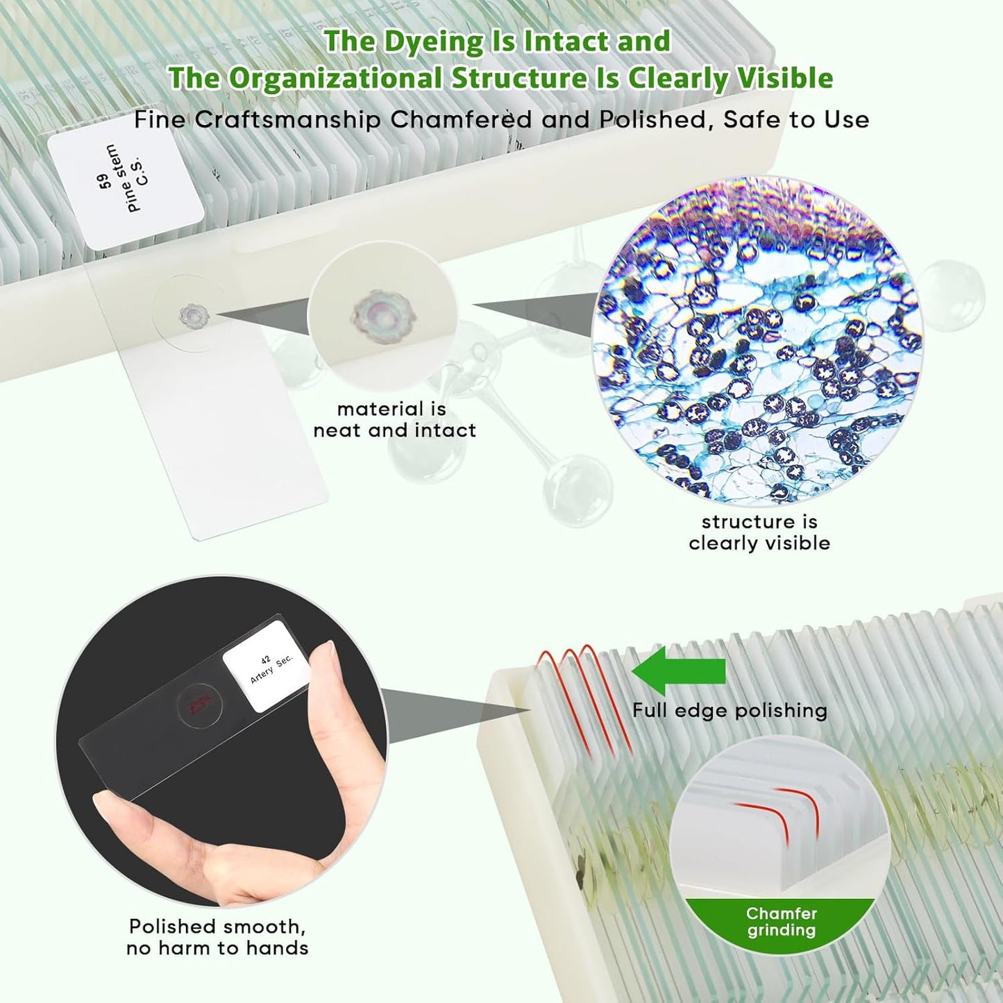 60 Microscope Slides with Specimens,Prepared Microscope Slides for Kids,Glass Slides for Microscope,Prepared Slides for Kids Microscope,Microscope Slide Preparation Kit for Biology Science Classes