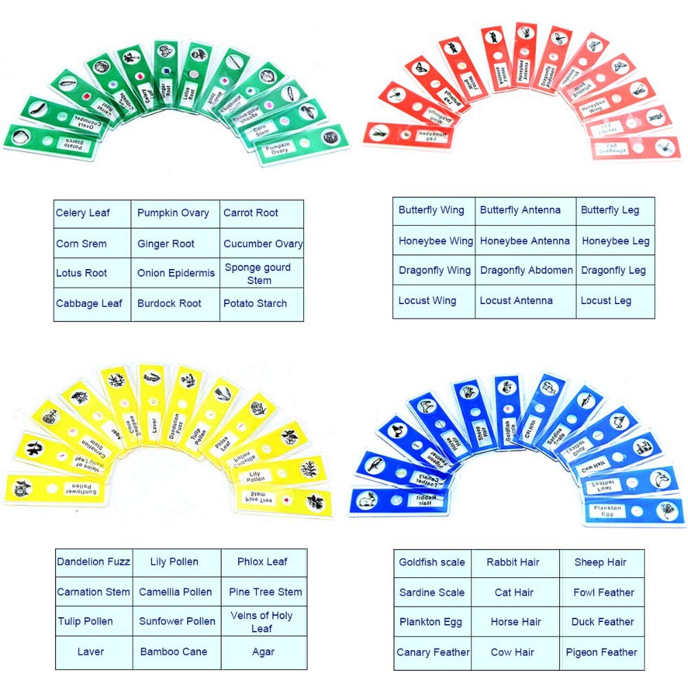 Prepared Microscope Slides for Kids, 48pcs Plastic Animals Insects Plants Flowers Sample Specimens for Students Children Homeschooling Biology Science Programs