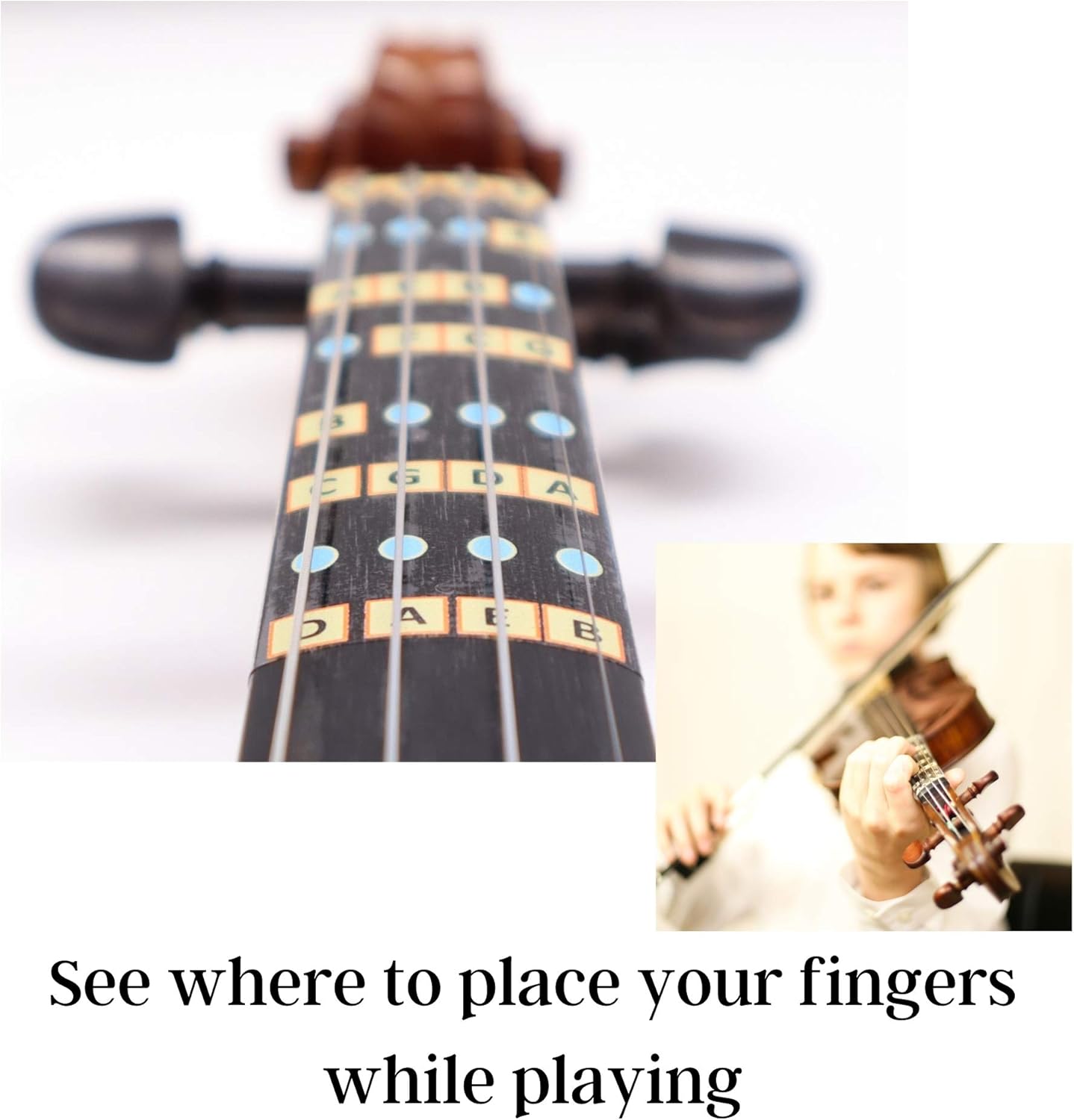 Fantastic Finger Guide for Violins Kids/Adult Beginner | Stringed Musical Instruments | Fingerboard and Fretboard Stickers for Learning All Notes | Play or Fiddle (1/2)