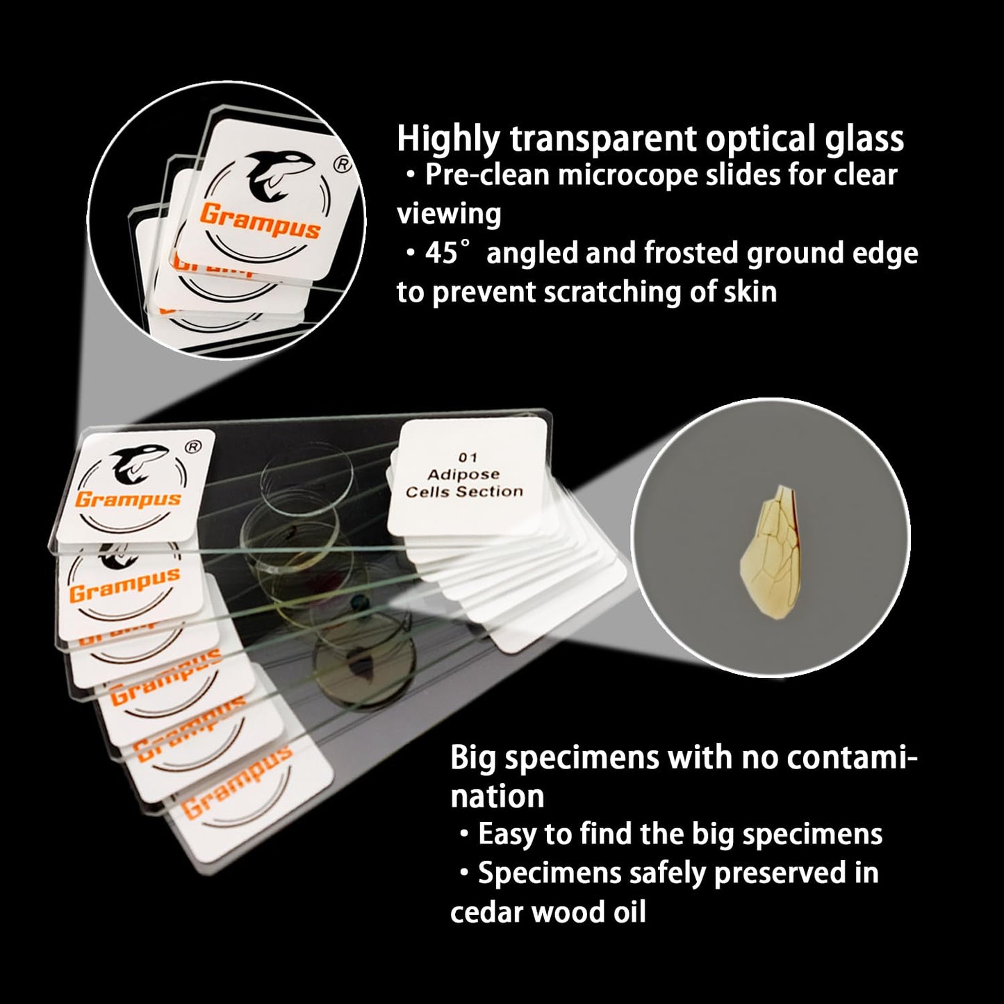 30 Prepared Microscope Slides with Specimens for Kids Students-Animal and Plant Microscope Slide Sets - Random Delivery (Either One Set) for Biological Lab, Children's Science Education, Homeschooling