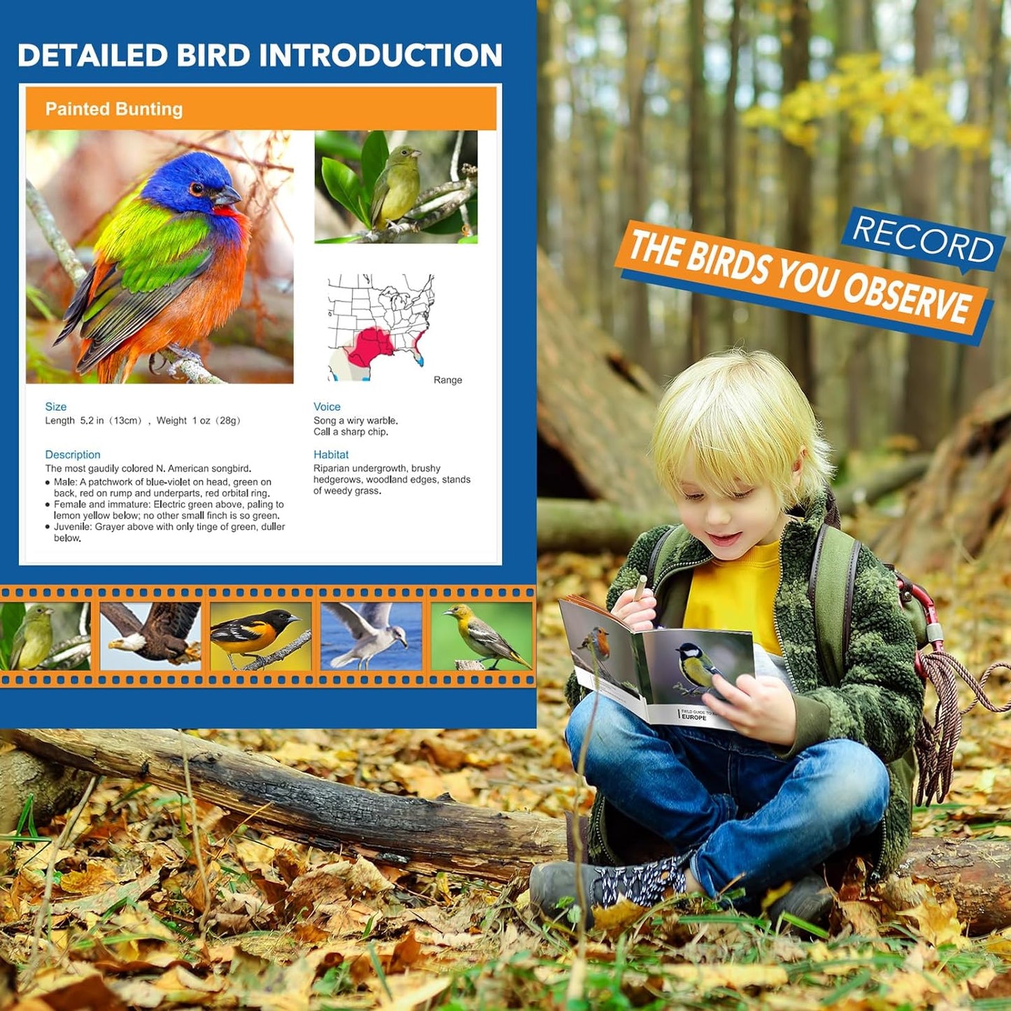 LET'S GO! Boy Toys Age 3-7 Kids Binoculars for Bird Watching|Hiking|Camping Toy for 3 4 5 6 7 Year Old Boy Girl Birthday Gifts Outdoor Travel Toys for Kid Boys Ages 3-6 Stocking Stuffers