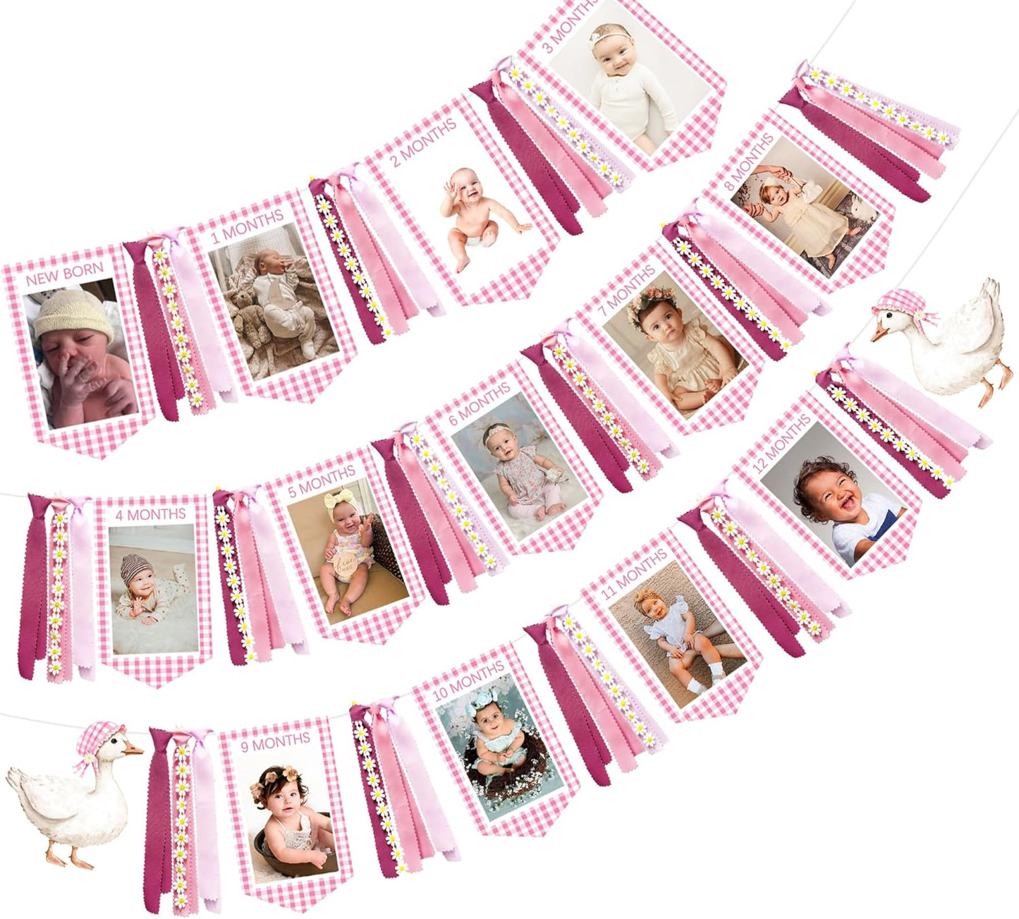 Pink One Silly Goose 1st Birthday Photo Banner Garland from Newborn to 12 Months Paper Photo Banner with Gradient Pink Ribbon for Monthly Milestones Baby Girl First Birthday Party Decorations Supplies