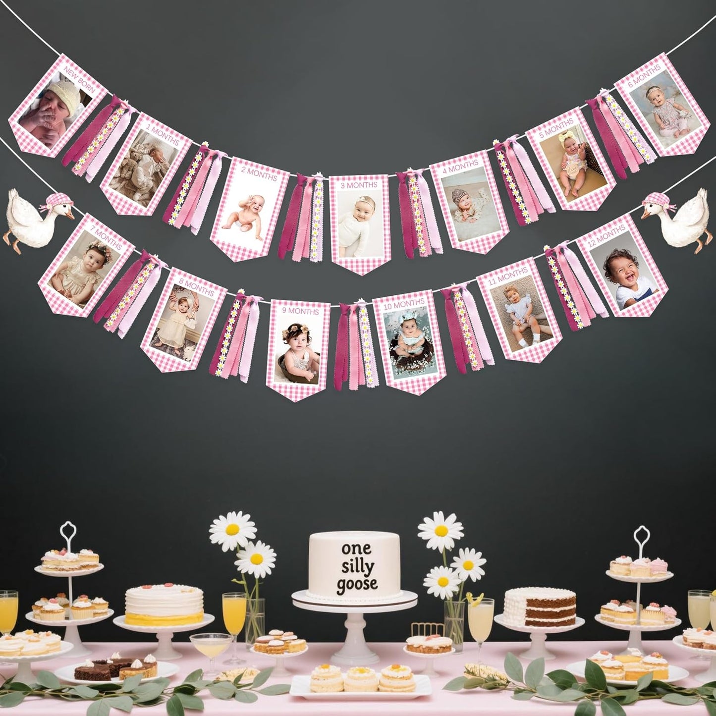 Pink One Silly Goose 1st Birthday Photo Banner Garland from Newborn to 12 Months Paper Photo Banner with Gradient Pink Ribbon for Monthly Milestones Baby Girl First Birthday Party Decorations Supplies
