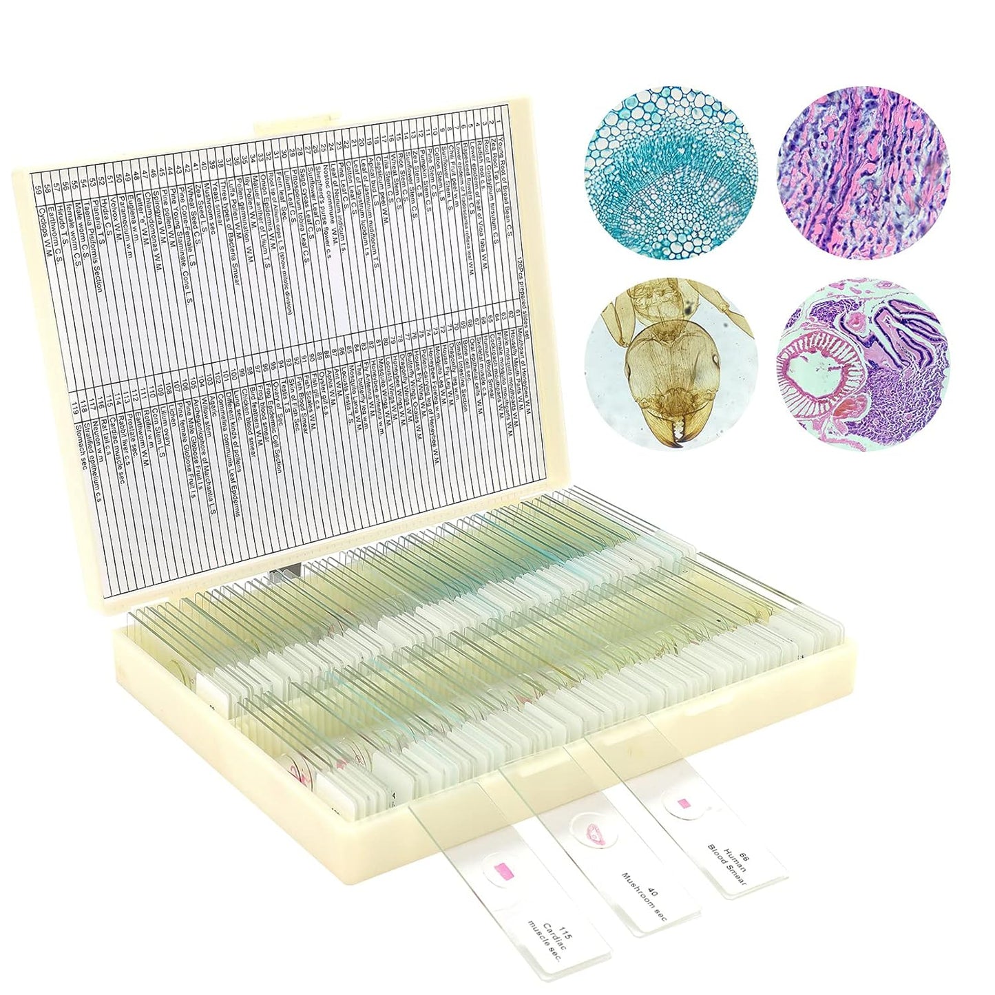 120 Microscope Slides with Specimens for Kids, Prepared Microscope Slides for Kids Microbiology, Prepared Microscope Slides for Adults